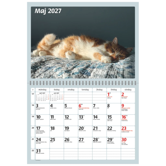 Katter 2027 | 29×21 cm