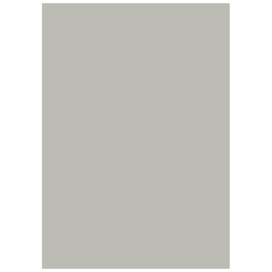 Multifunktionellt papper Universellt papper | A4, 80 g/m², grå, 50 blad