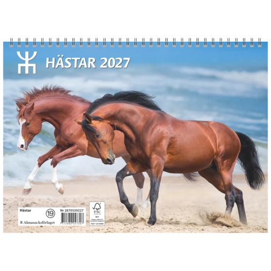 Hästar 2027 | 29×21 cm