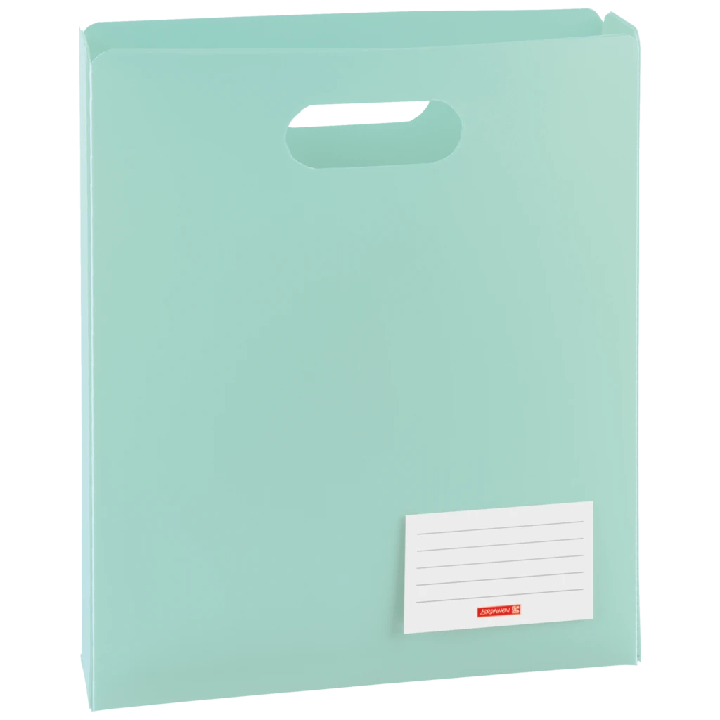 Box för häften FACT!pp | A4, Påfyllningsnivå: 50 mm, mint