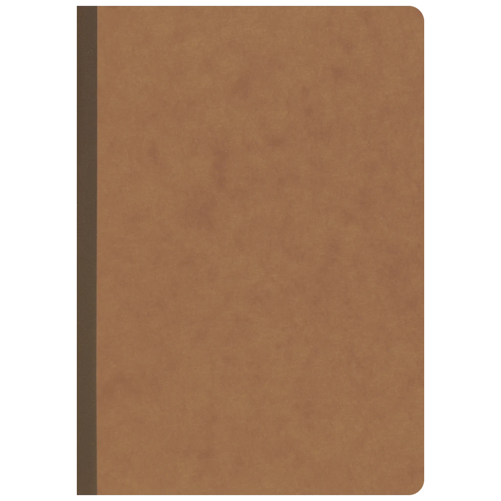 Anteckningsbok Kladde FACT!plus, A5, 96 blad / 192 sidor, oreglerad, brun