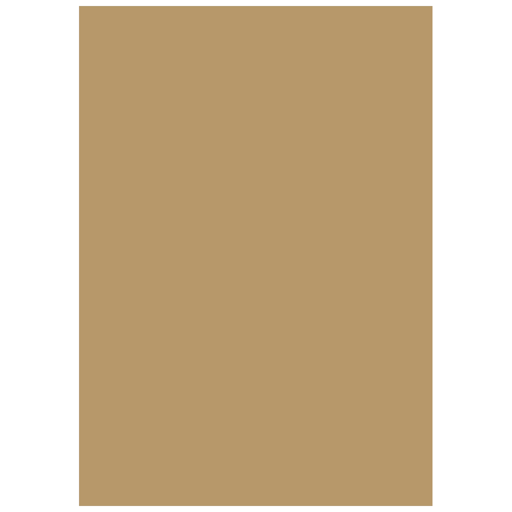 Multifunktionellt papper Universellt papper | A4, 120 g/m², sand, 35 blad