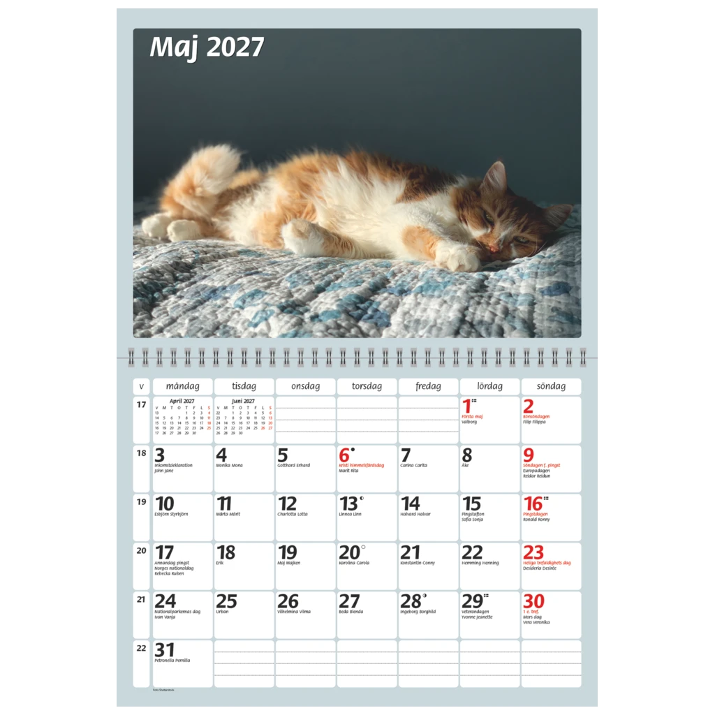 Katter 2027 | 29×21 cm